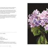 Hydrangeas: Beautiful Varieties for Home & Garden
