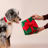 The Foggy Dog - Holiday Present Interactive Snuffle Dog Toy