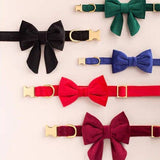 The Foggy Dog - Black Velvet Dog Collar