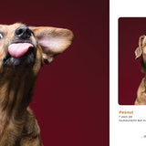 Gibbs Smith - Peanut Butter Dogs
