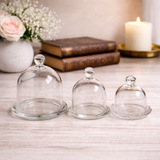 Glass Dome Cloche with Base