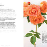 Vintage Roses: Beautiful Varieties for Home & Garden