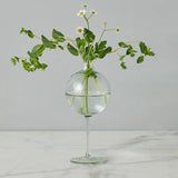 Clear Wine Glass Vase, Small