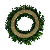 Galt International Company - Naturally Preserved Green Boxwood Wreath 21" + Hanging Loop