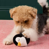 The Foggy Dog - Penguin 2-in-1 Bounce Dog Toy