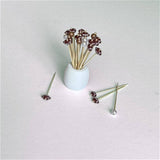 4" Cocktail Skewers and/or Appetizer Picks, 25pk