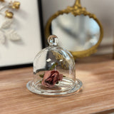 Glass Dome Cloche with Base