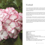 Hydrangeas: Beautiful Varieties for Home & Garden