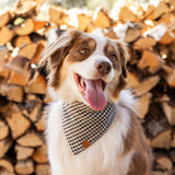 The Foggy Dog - Houndstooth Flannel Winter Dog Bandana