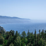 The Pacific Beyond the Pines (Print Only) by Camden Levy