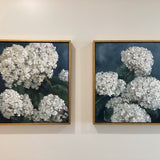 20" x 20" Hydrangea Oil Painting (Arching Right) by Local Artist Laurie Wienke