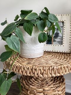 ASHER POTS