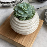 AVANI POT SMALL