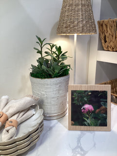 Photo Mount