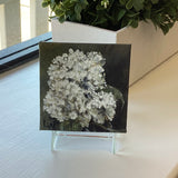 Mini 3" x 3" Annabelle Hydrangea Oil Painting/Green Background with easel