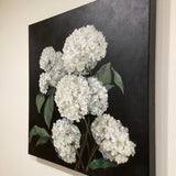 20" x 20" White Hydrangeas on Black Acrylic Painting by Local Artist Laurie Wienke