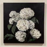 20" x 20" White Hydrangeas on Black Acrylic Painting by Local Artist Laurie Wienke