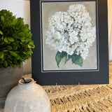 11" x 14" Hydrangea Acrylic Painting in a black mat by Local Artist Laurie Wienke