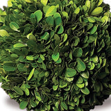Boxwood Ball 6"