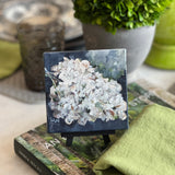 Mini 4" x 4" Hydrangea with easel - Fall-Blue Backdrop