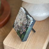 Mini 4" x 4" Hydrangea with easel - Fall-Green Backdrop