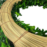 Galt International Company - Naturally Preserved Green Boxwood Wreath 21" + Hanging Loop