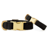 The Foggy Dog - Black Velvet Dog Collar