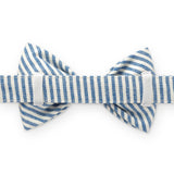 The Foggy Dog - Lake Blue Stripe Summer Dog Bow Tie