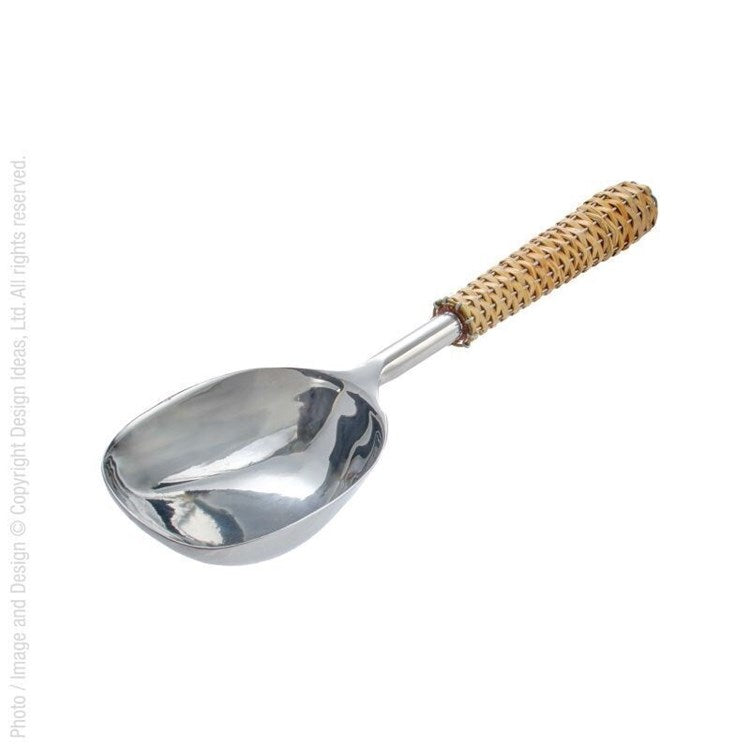 Montauk ice scoop