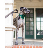 Forest Green Velvet Holiday Lady Dog Bow