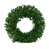 Galt International Company - Naturally Preserved Green Boxwood Wreath 21" + Hanging Loop