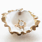 Oyster Dish