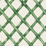 Green Lattice Cocktail Napkin - Pack of 20